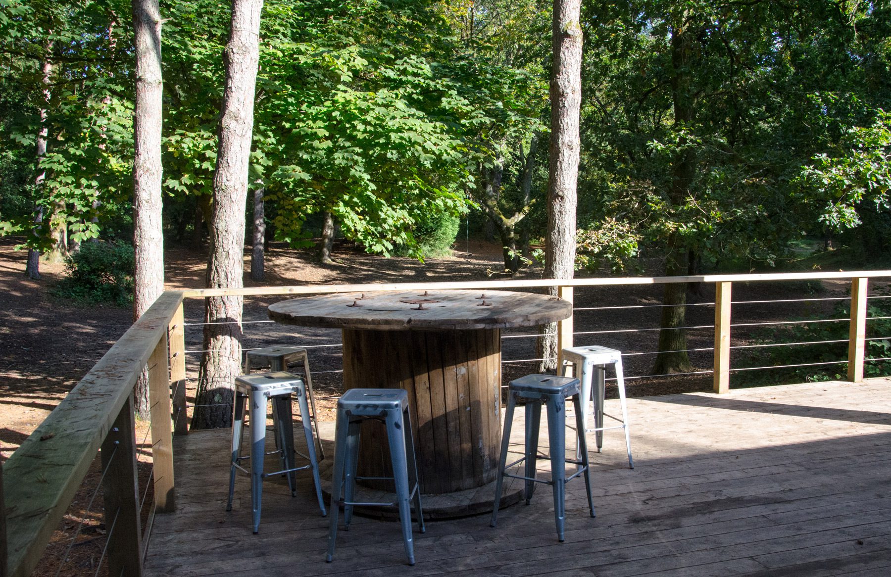 Candleston Woods Candleston Woods