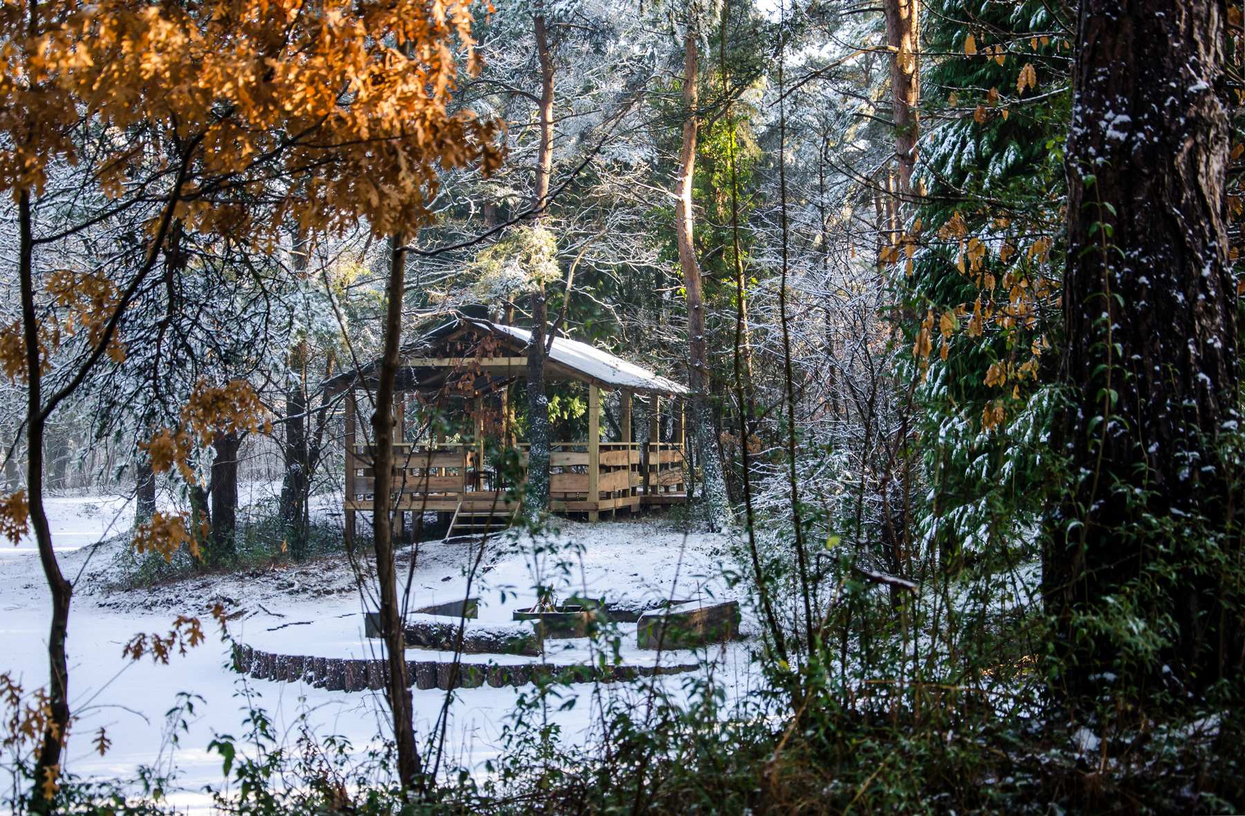 Blog Candleston Woods