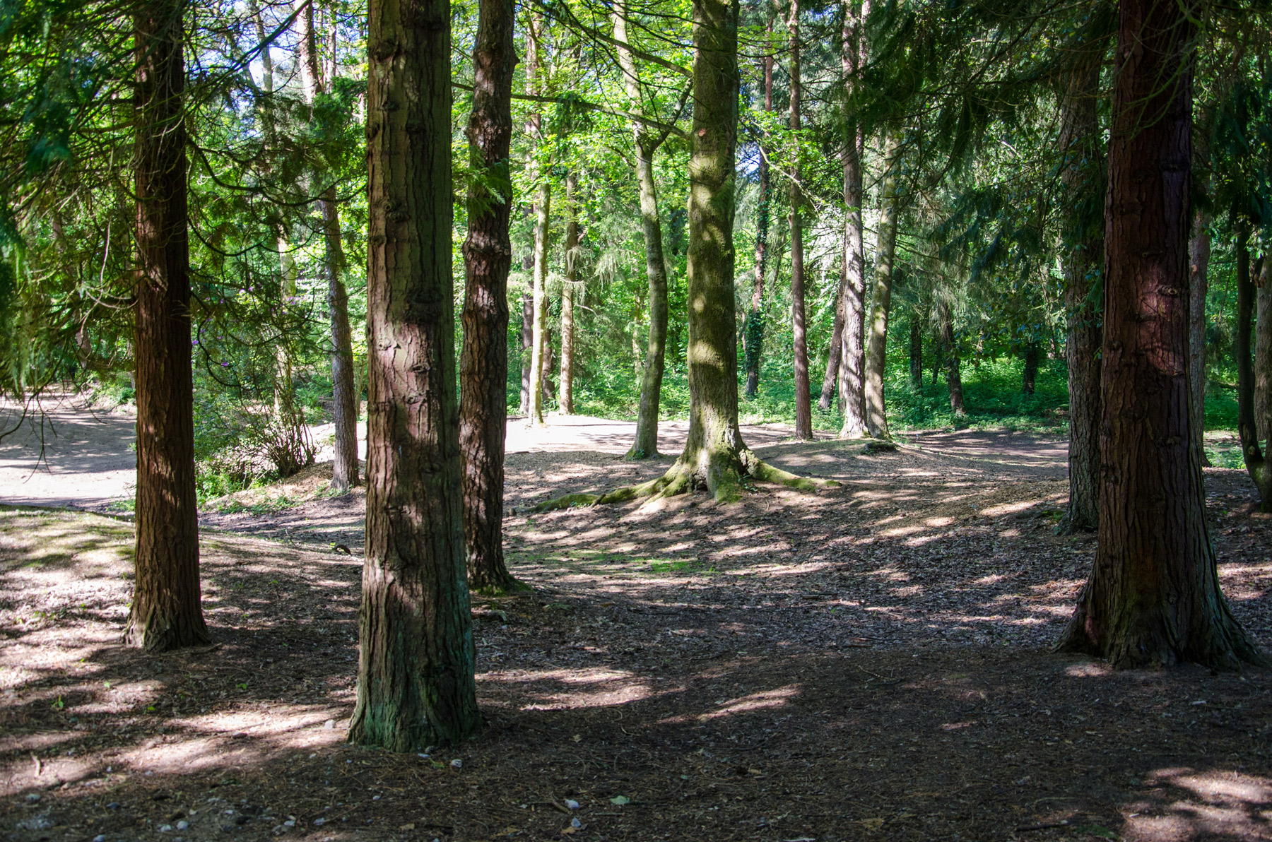 Contact Candleston Woods