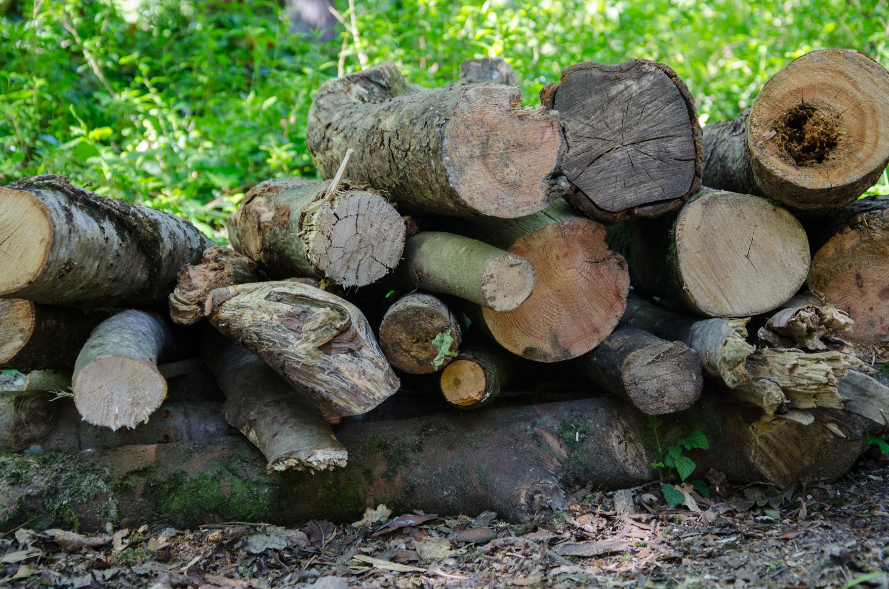 FAQ & Info Candleston Woods