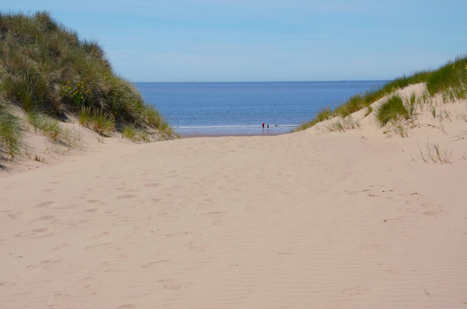 About Candleston Woods Candleston Woods