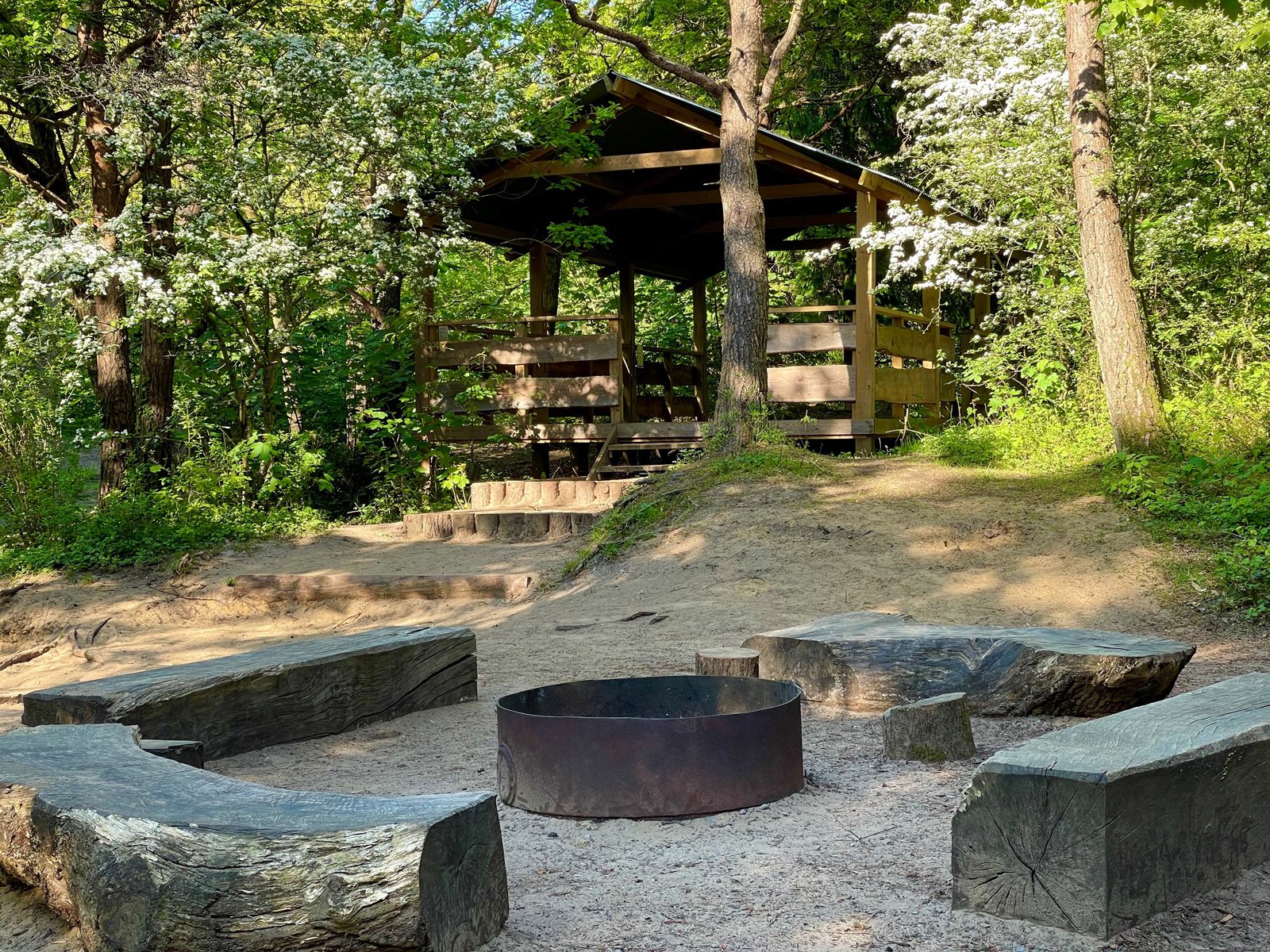 About Candleston Woods Candleston Woods