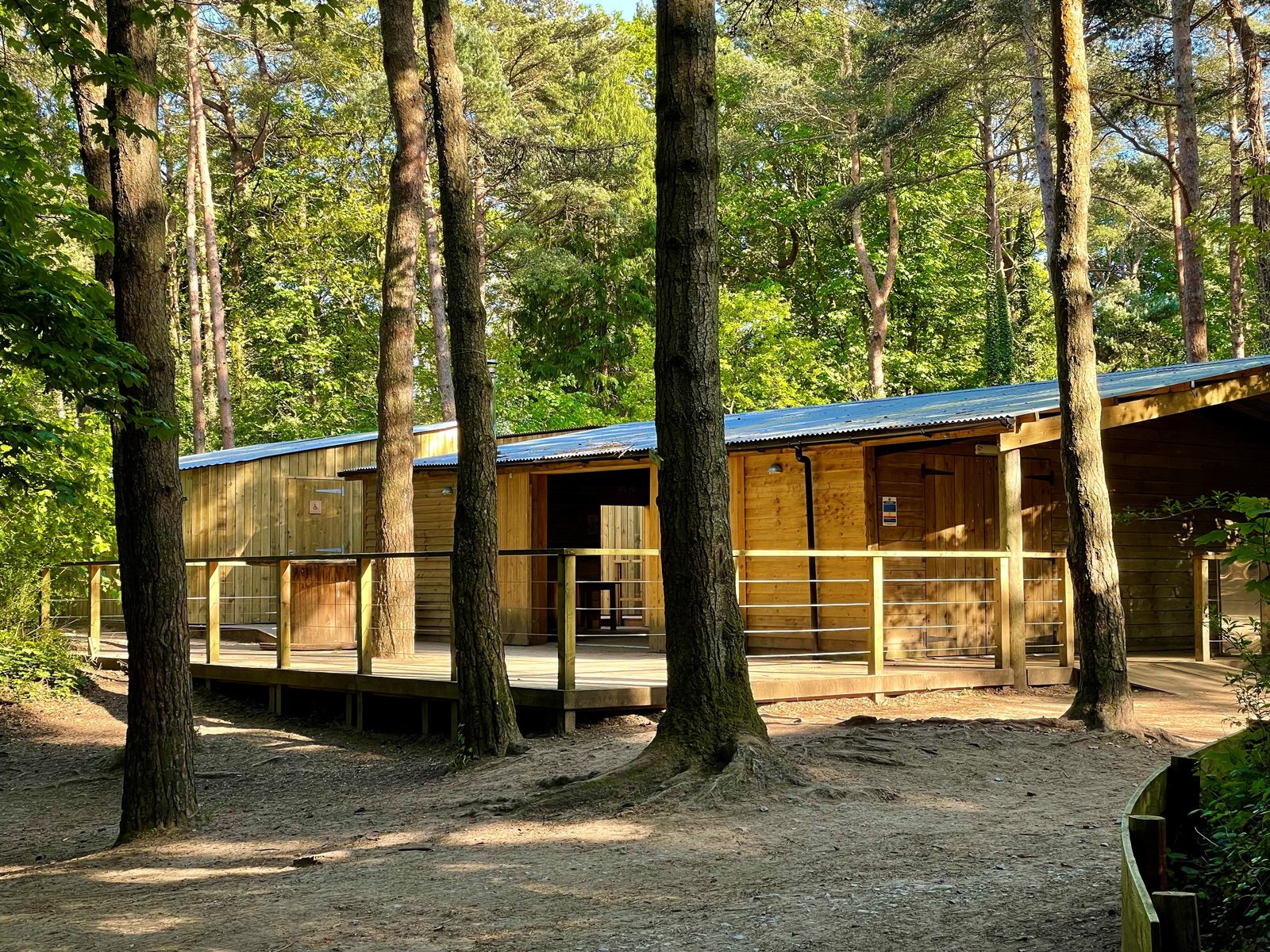 About Candleston Woods Candleston Woods